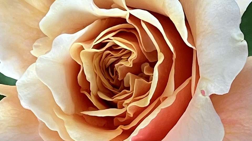 春のベンウェザースタッフ