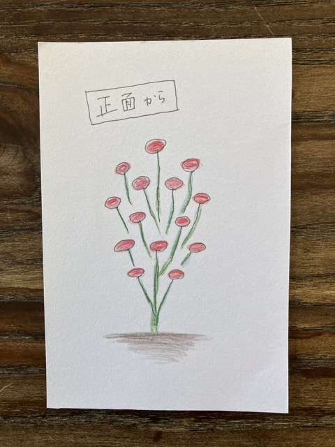 シラノドベルジュラック