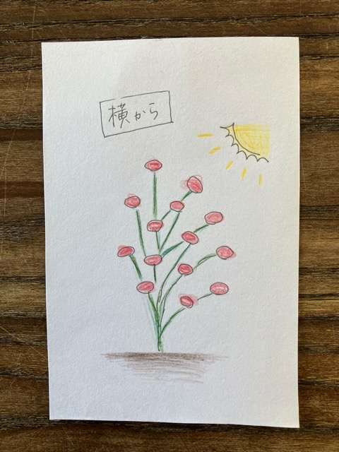 シラノドベルジュラック