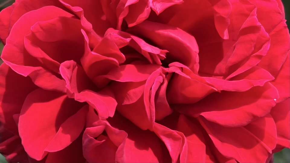 春のシラノドベルジュラック