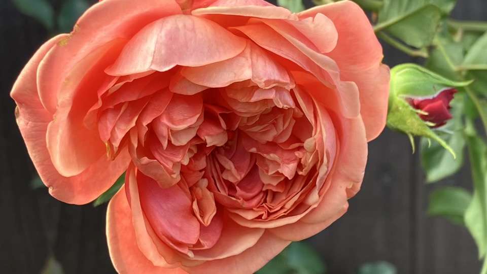 秋のシルクロード