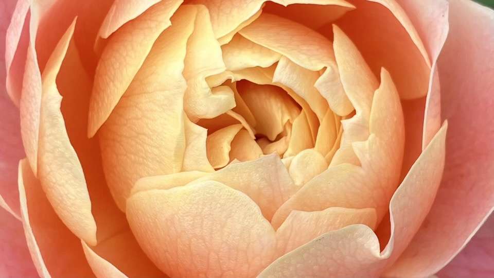 秋のタペストリー